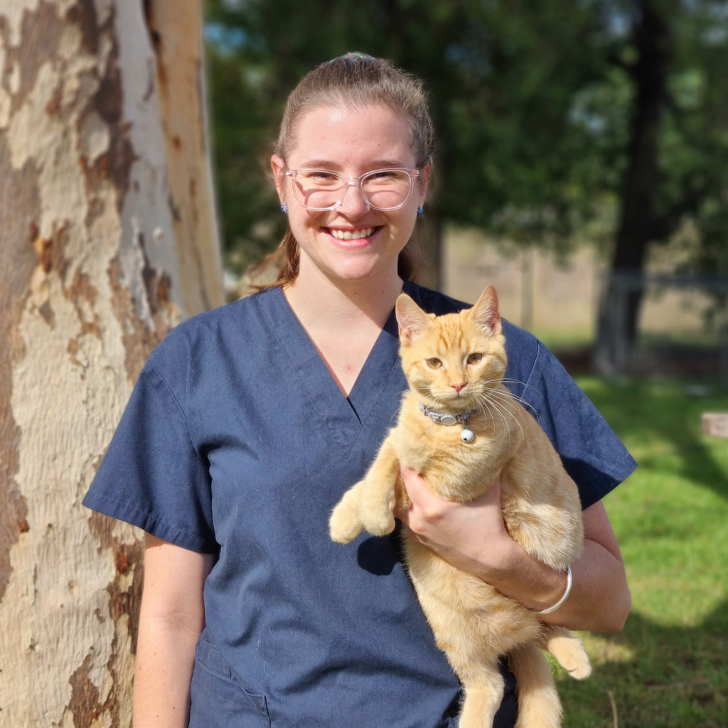 Vet nurse holding a cat